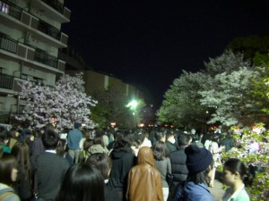 大阪造幣局桜の通り抜け