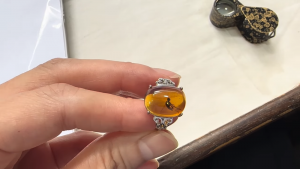 ミャンマー産琥珀虫入りファッションリング