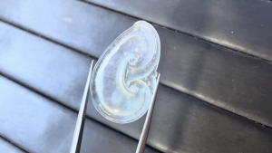 氷翡翠カービング