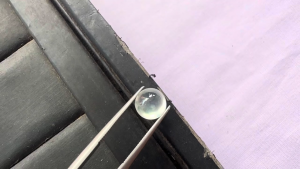 氷翡翠ルース　水玉