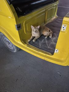 ミャンマーからのお便り