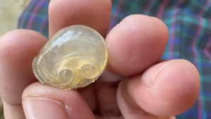 氷翡翠カービング