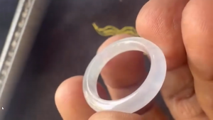 格安くりぬき氷翡翠リング　ホワイトプロミス