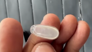 氷翡翠カービング　光る果実